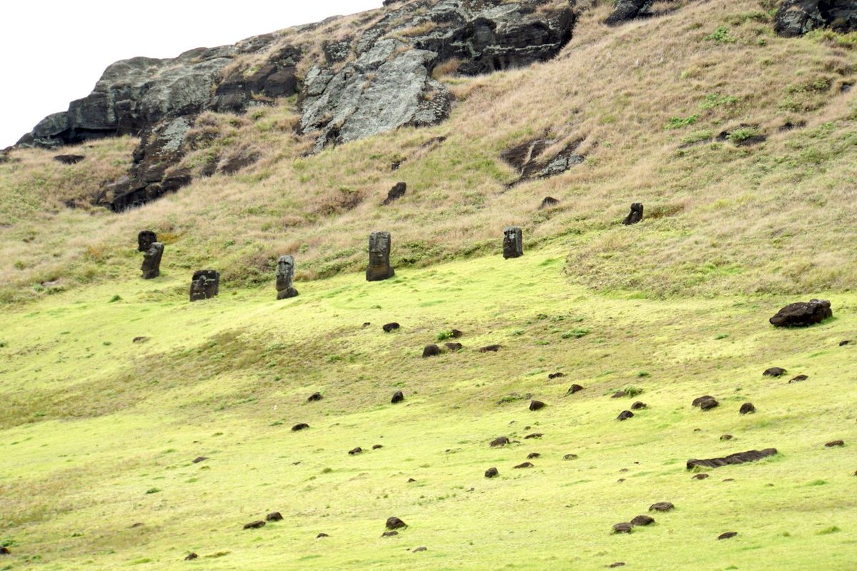 The quarry at Rano Raraku, where moai stand unfinished in the rock. Work stopping is usually read as collapse; it is equally the signature of a population that was taken.